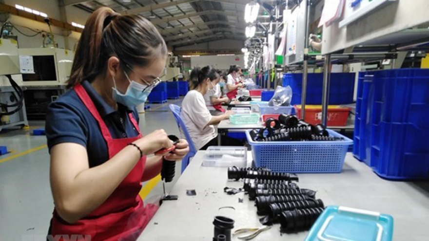 Foreign enterprises place trust, raise investment in Dong Nai